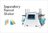Lab Companion™ RS-2 Separatory Funnel Shaker w/ Tilt & IoT, 120v 60Hz